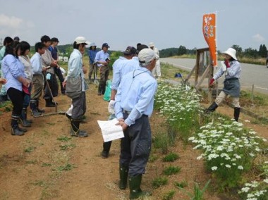 2013hitotuchiharu01