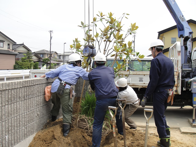 造園実習