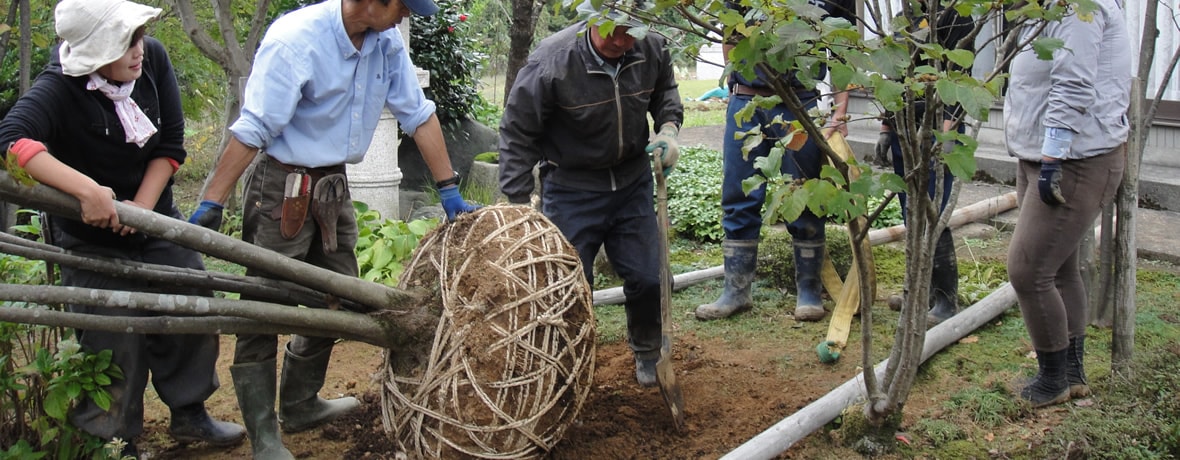 大工と庭師の専門学校 職藝学院