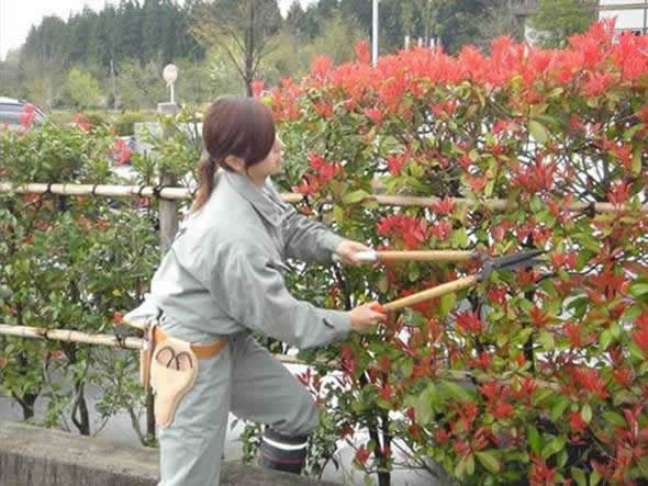 庭師-環境職藝科